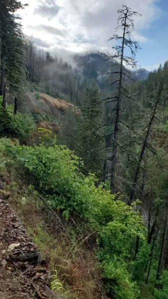 Eagle Creek Trail, Oregon