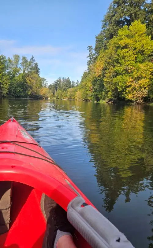 Kayaking the Tualatin River