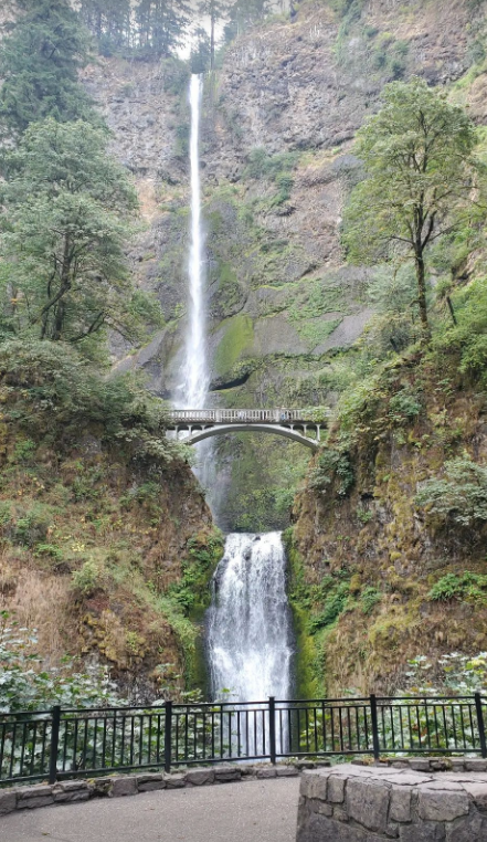 Watchlist data viz header Multnomah Falls
