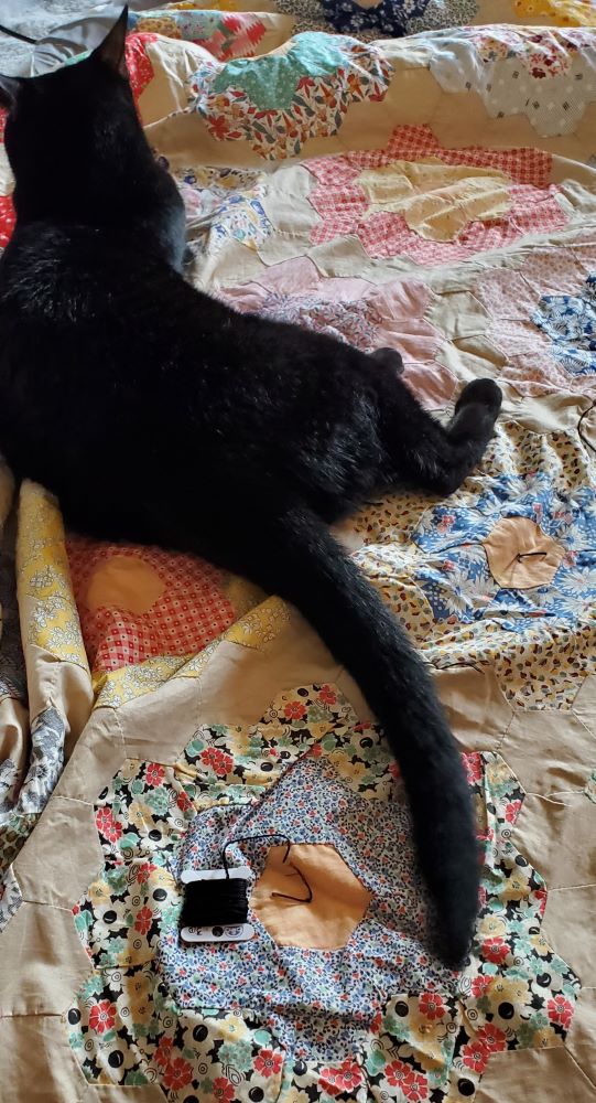 Tycho lay on quilt,tying Tycho lay on quilt, tying