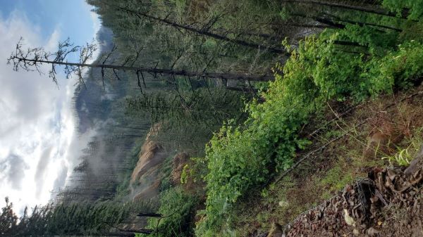 Eagle Creek Trail, Oregon