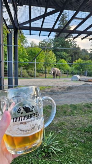Zootoberfest with an elephant